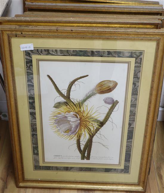 Thirteen assorted gilt framed botanical prints, approximately 52 x 34cm